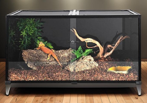 4x2x2 reptile enclosure 4x2x2 reptile enclosure