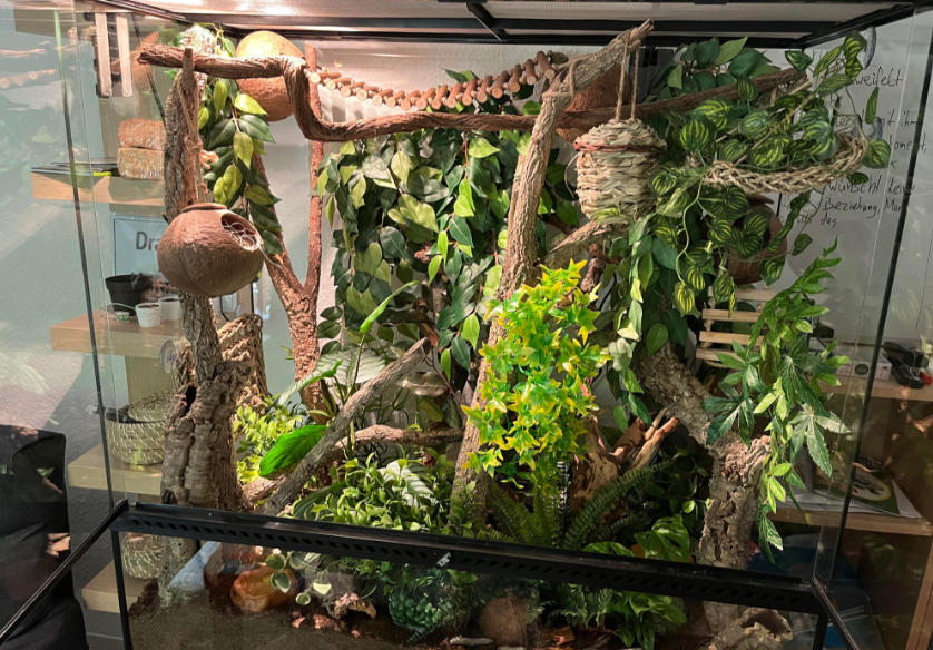 reptile terrarium reptile terrarium