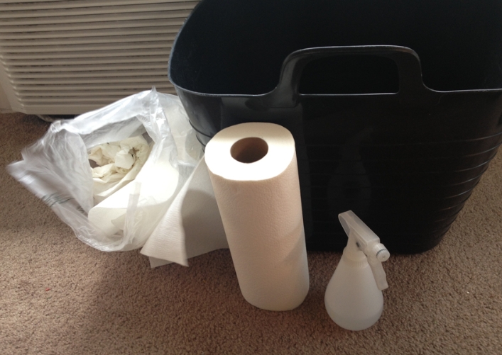 Cleaning kit for bearded dragon enclosure Cleaning kit for bearded dragon enclosure