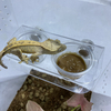 Magnetic Suction Acrylic Reptile Gecko Feeding with 20 Cups Ledge Fruit Paste Food Water Cup Bowl Holder Feeder