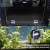 Customization PET high quality reptile cages with acrylic door terrarium display enclosures with factory support