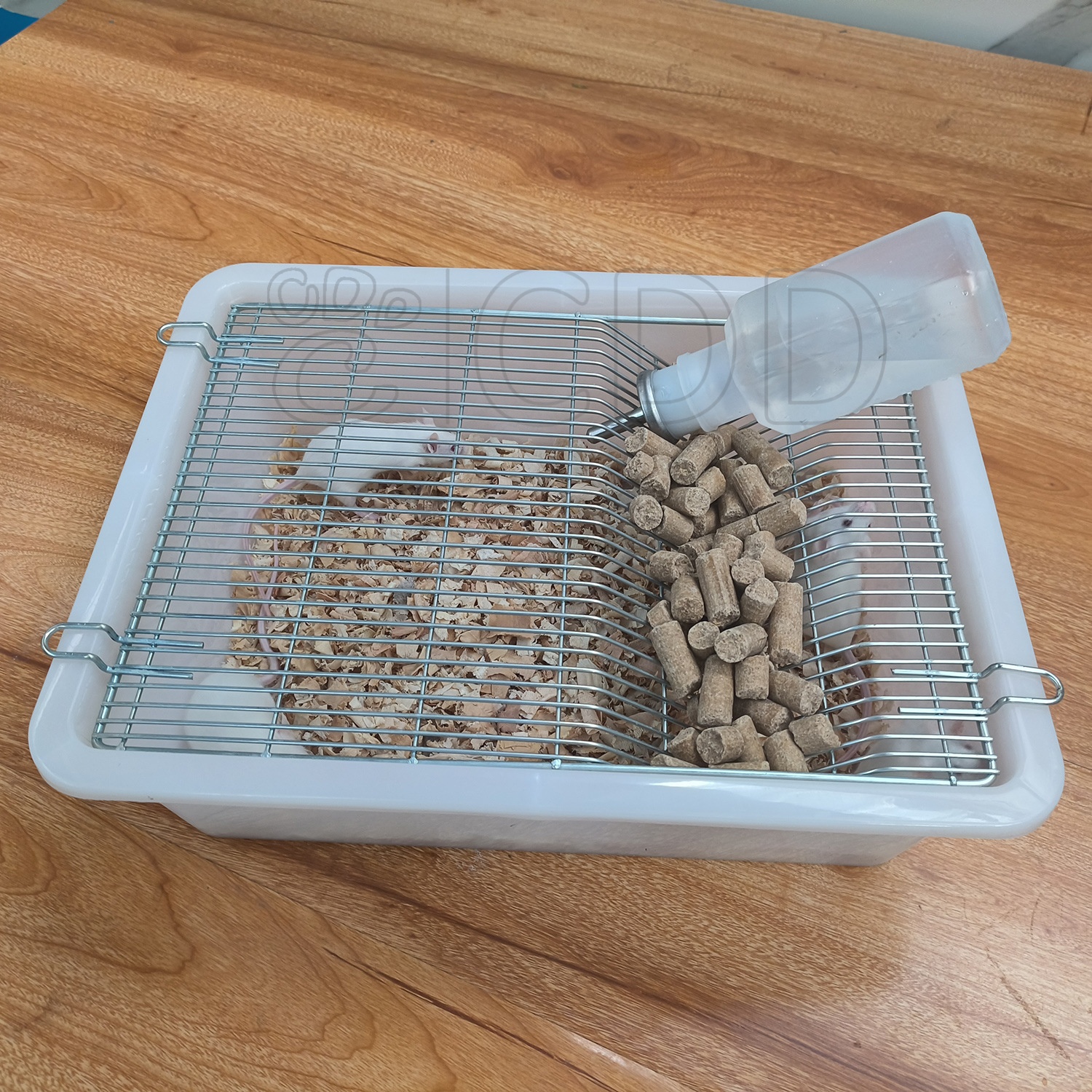 Plastic Laboratory Animal Mice Mouse Rodent Breeding Cage