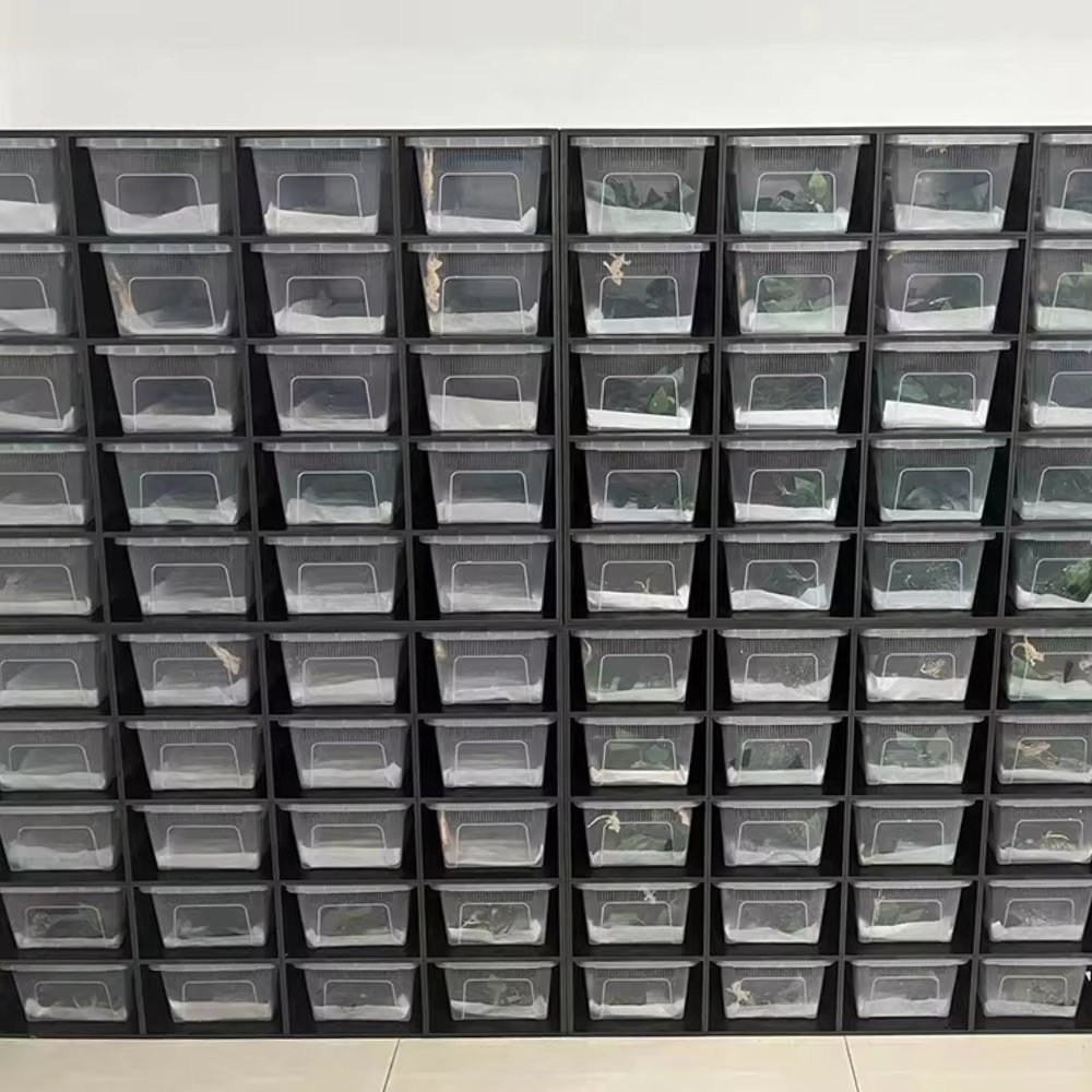 PVC Customized Ideal Rack System for Reptile