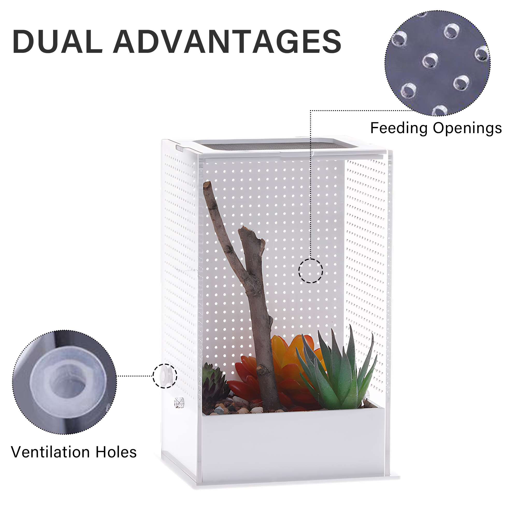 Customizable Transparent Simple Classic Praying Mantis Breeding Enclosure Box Breathable for Reptiles Cage Acrylic Pet Terrarium