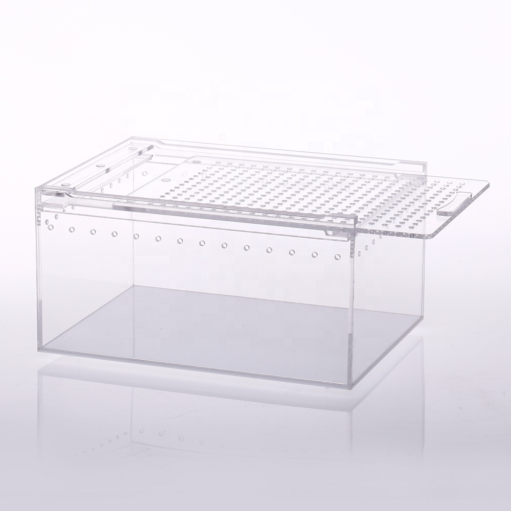 High Transparent Integrated Acrylic Reptile Feeding Box with Sliding Lid Cover