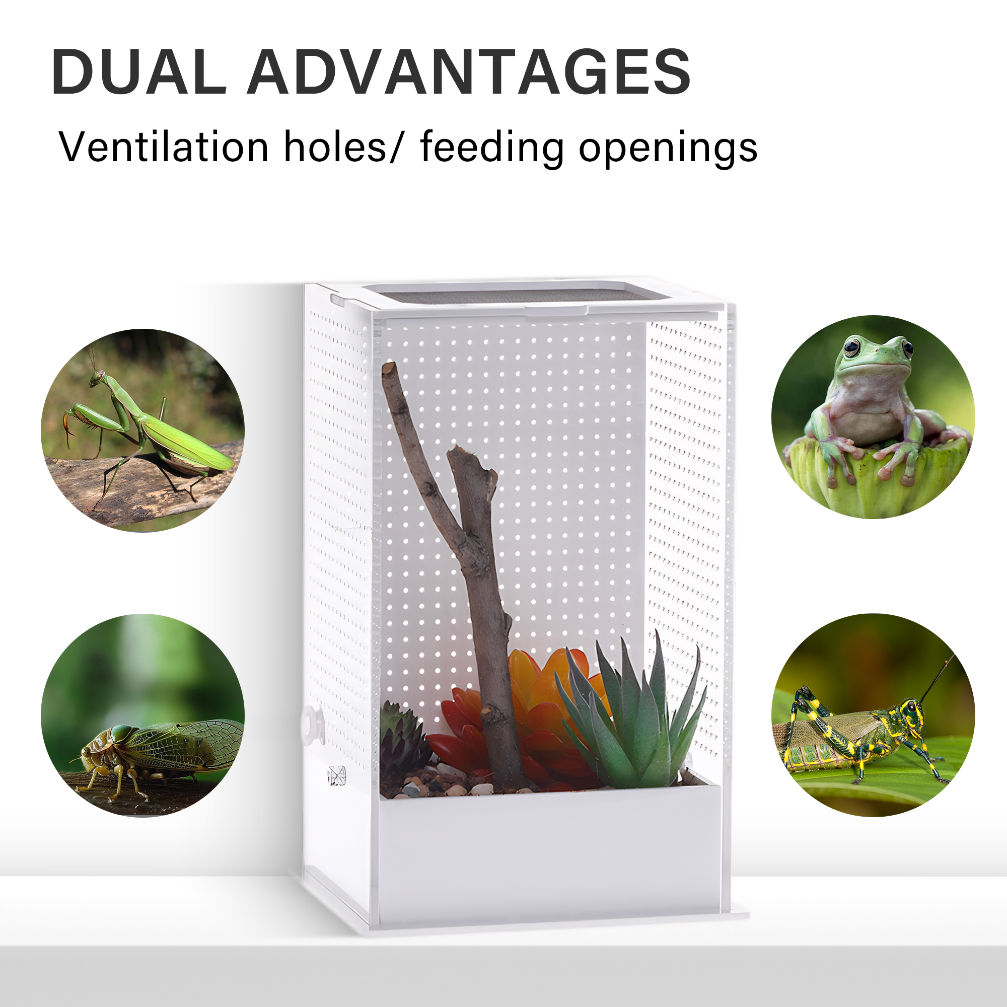 Customizable Transparent Simple Classic Praying Mantis Breeding Enclosure Box Breathable for Reptiles Cage Acrylic Pet Terrarium