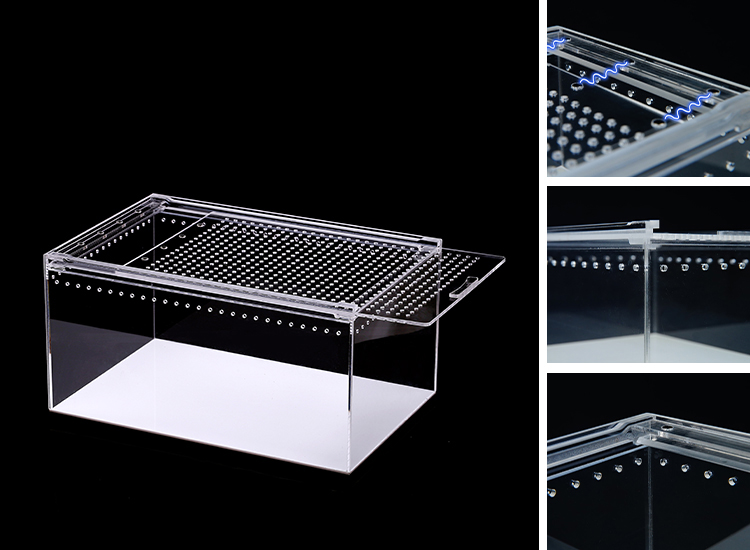 Integrated acrylic reptile feeding box