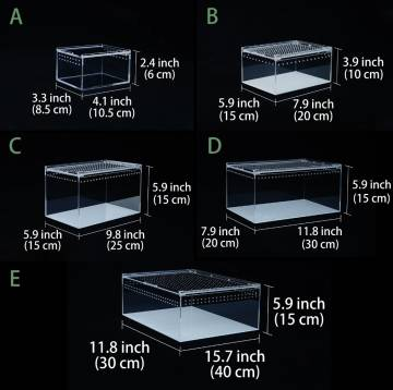 High Transparent Integrated Acrylic Reptile Feeding Box with Sliding Lid Cover
