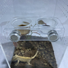 Magnetic Suction Acrylic Reptile Gecko Feeding with 20 Cups Ledge Fruit Paste Food Water Cup Bowl Holder Feeder