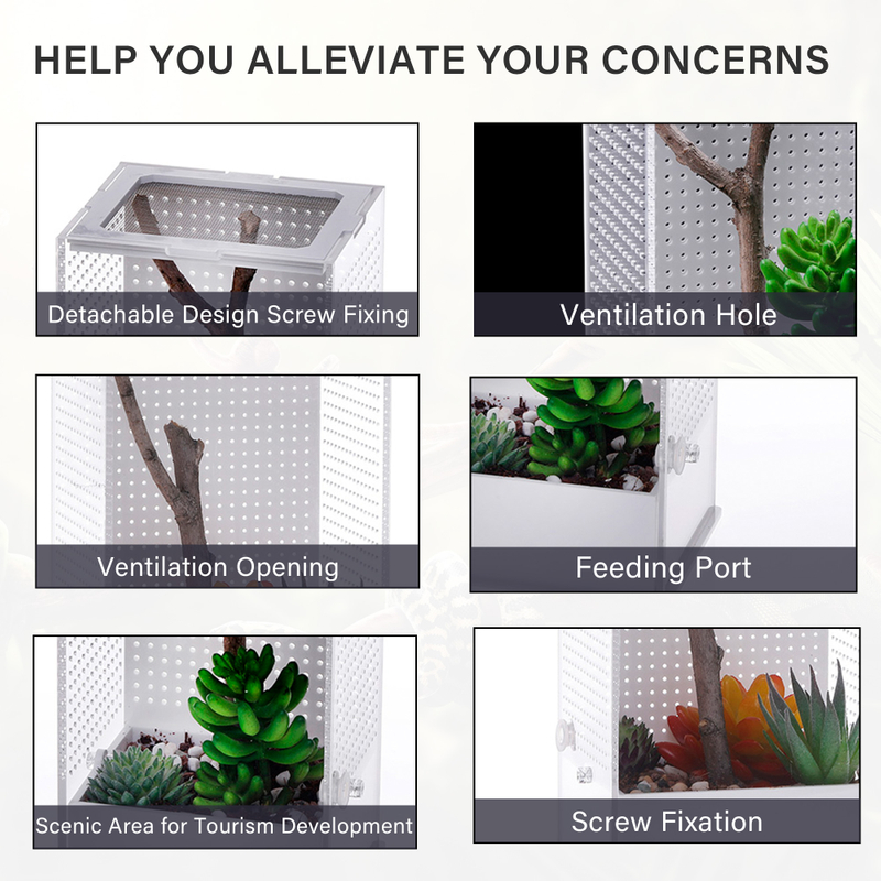 Customizable Transparent Simple Classic Praying Mantis Breeding Enclosure Box Breathable for Reptiles Cage Acrylic Pet Terrarium
