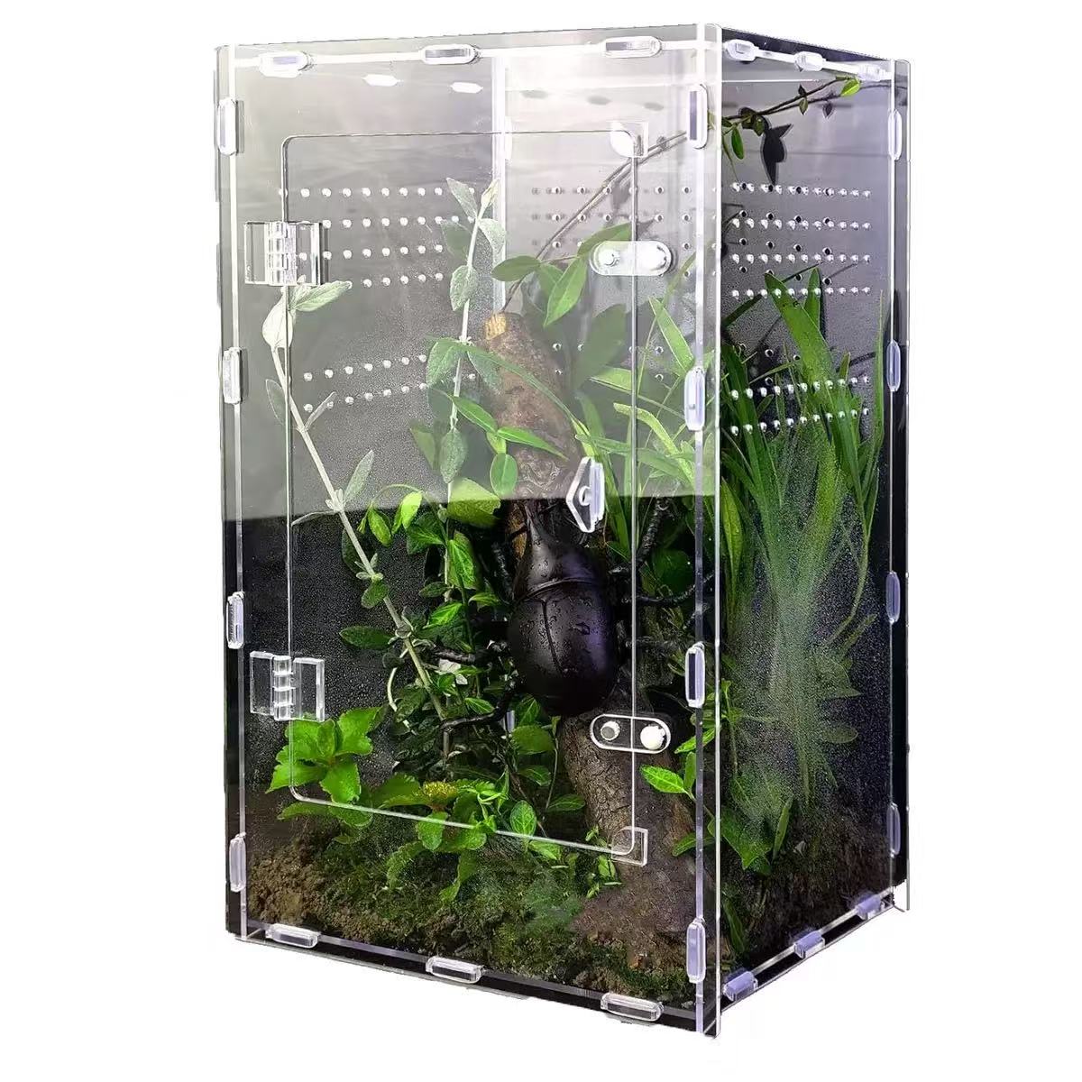 Clear Acrylic Reptile Enclosure with Stackable for Geckos And Lizards