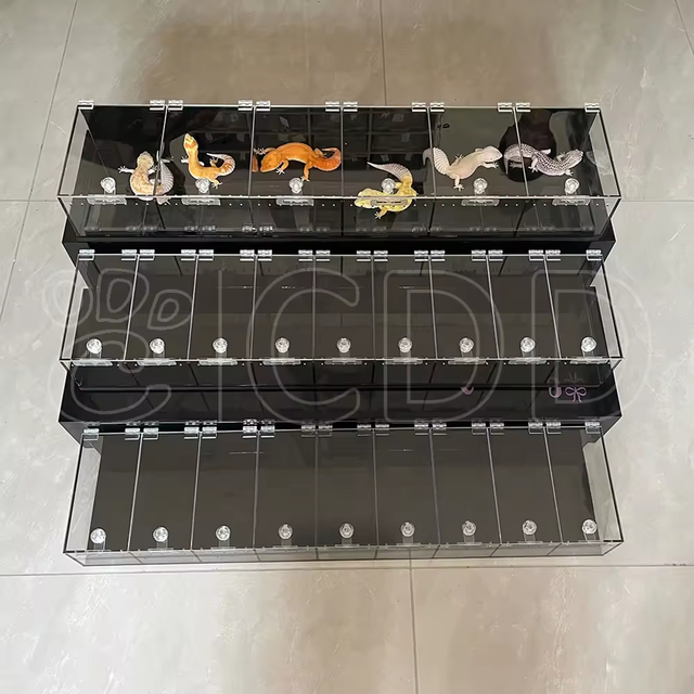 Reptile Acrylic Dispalys 3 Levels Showcase for Expo