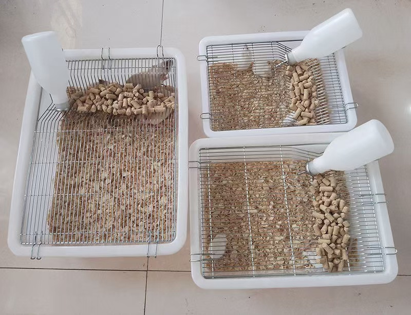 lab rat cage