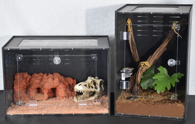 Bearded dragon enclosures