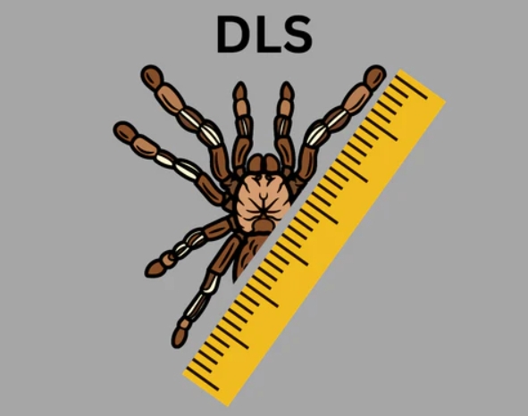 Diagonal Leg Span