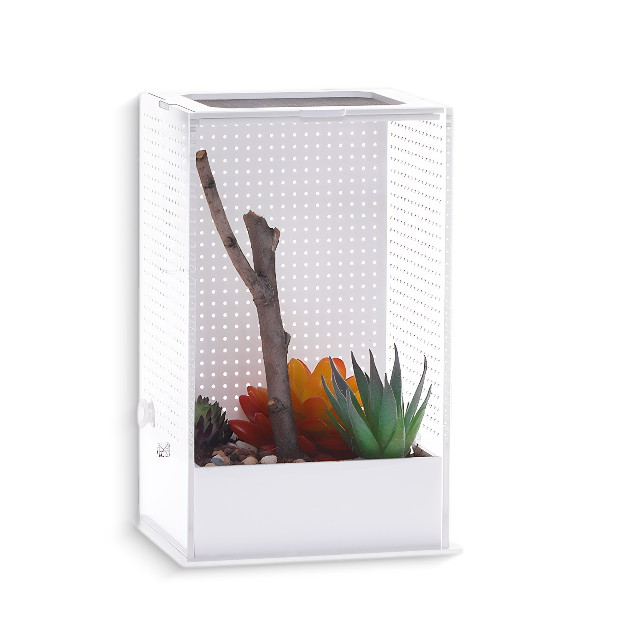 Customizable Transparent Simple Classic Praying Mantis Breeding Enclosure Box Breathable for Reptiles Cage Acrylic Pet Terrarium