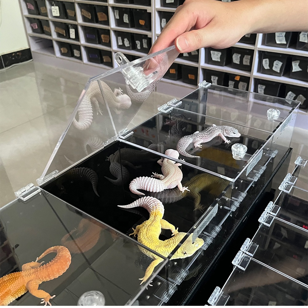 展示柜4