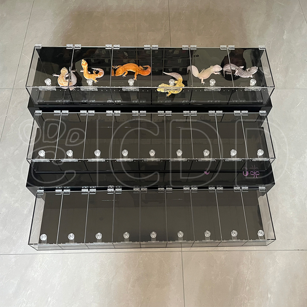 Reptile display 4