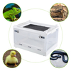 Pets Breeding Reptile Enclosure for Lizard Python Bearded Dragon