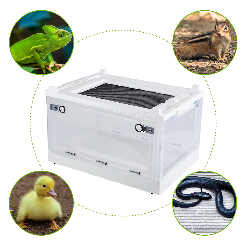 Pets Breeding Reptile Enclosure for Lizard Python Bearded Dragon