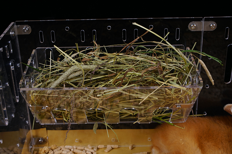 Expandable Enclosure Cage for Small Animals