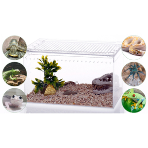 High Transparent Integrated Acrylic Reptile Feeding Box with Sliding Lid Cover