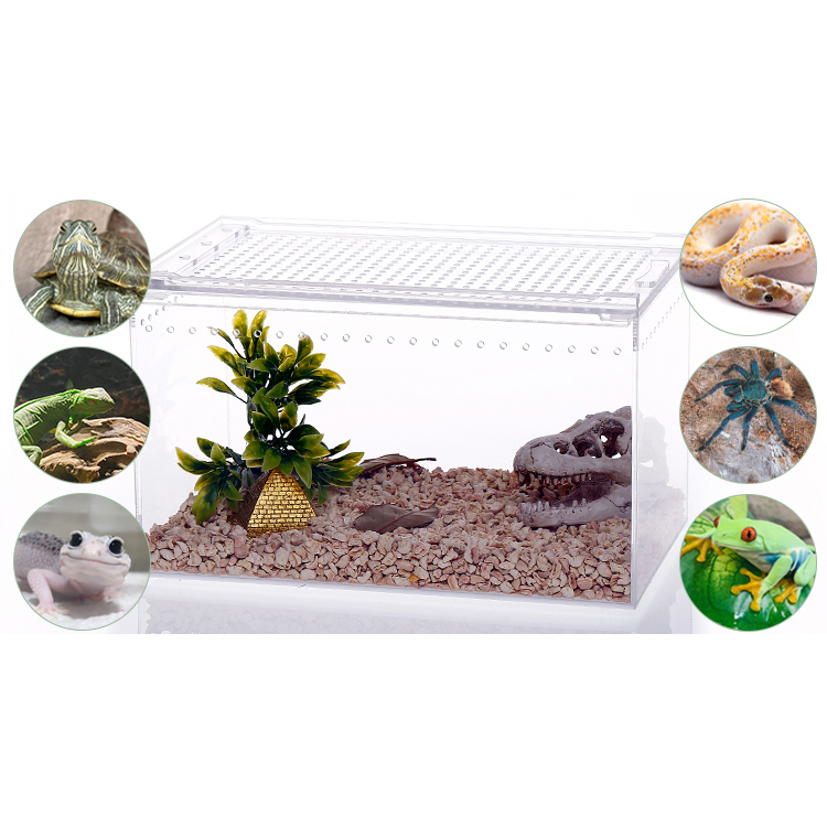 High Transparent Integrated Acrylic Reptile Feeding Box with Sliding Lid Cover