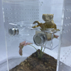 Magnetic Suction Acrylic Reptile Gecko Feeding with 20 Cups Ledge Fruit Paste Food Water Cup Bowl Holder Feeder