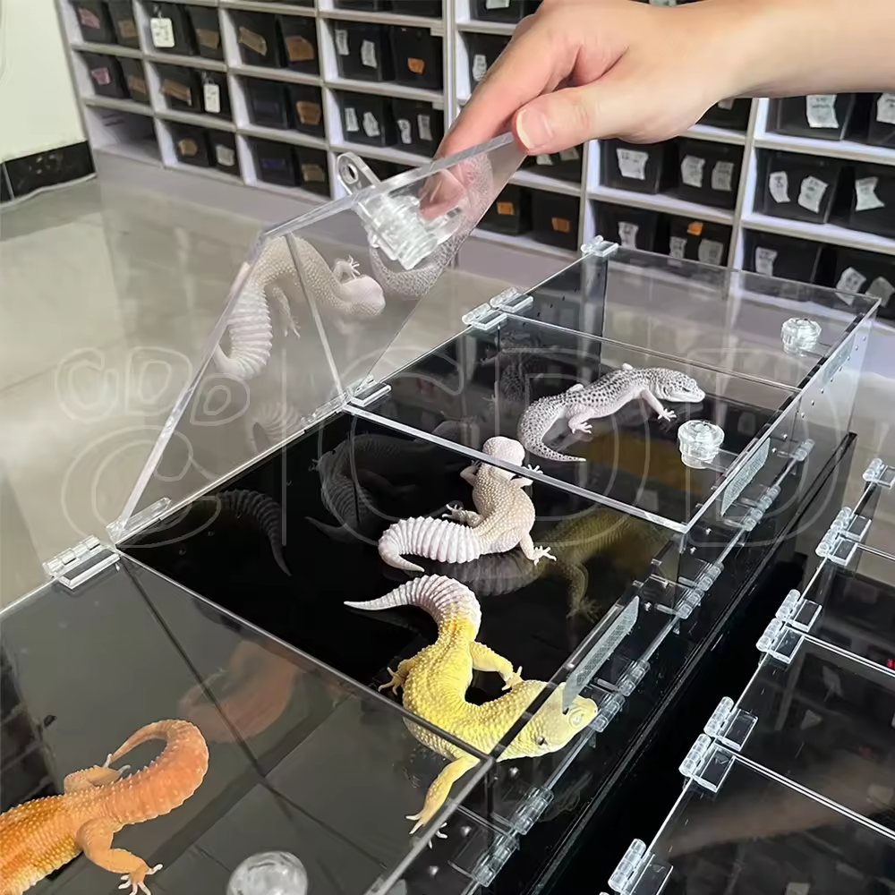 Reptile Acrylic Dispalys 3 Levels Showcase for Expo