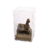 High transparent detachable acrylic reptile feeding box