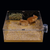 DIY Expandable Enclosure Cage for Hamsters Rats Mice Small Animals Prone to Escaping & Chewing