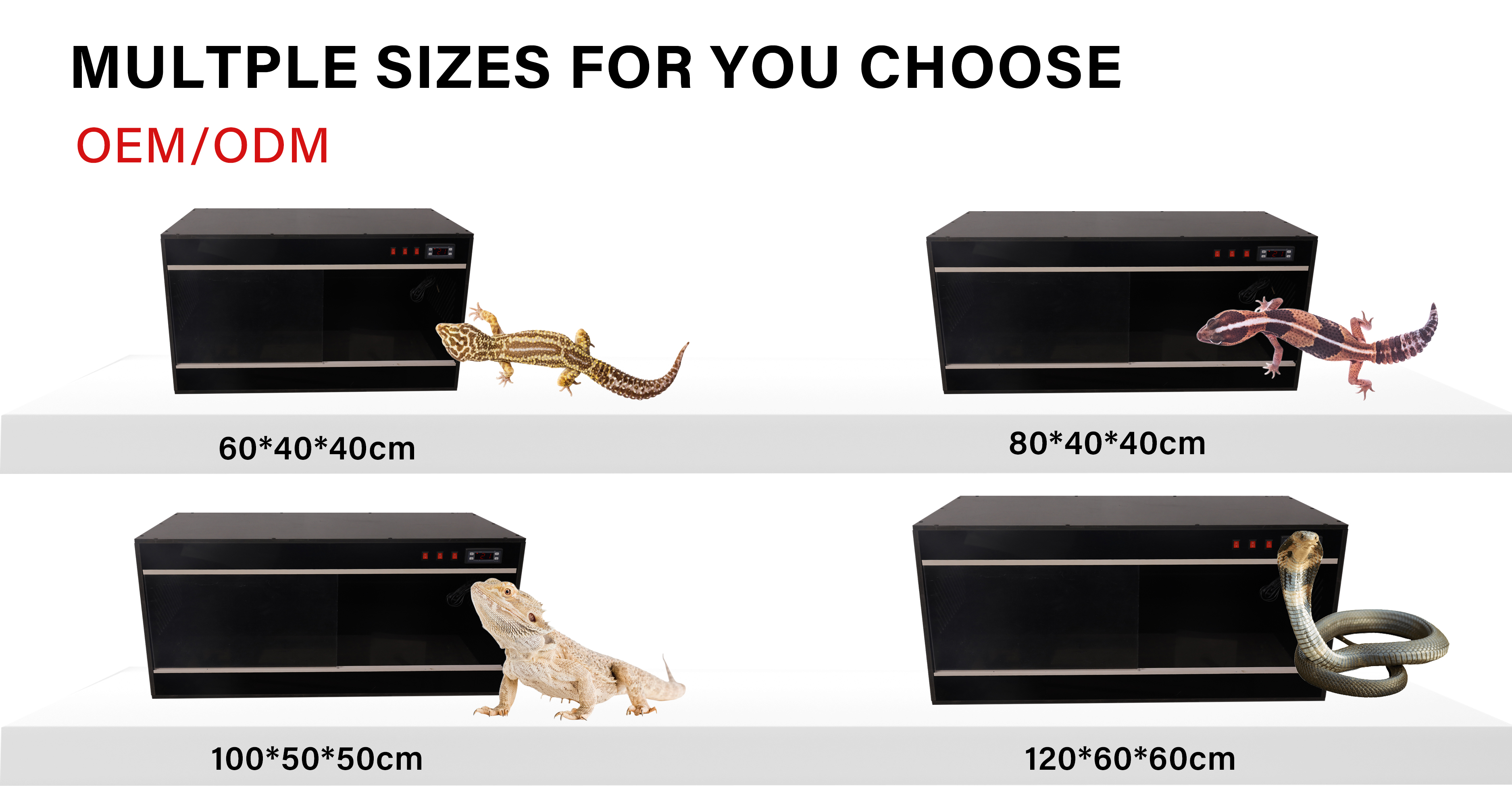 Large Reptile Enclosures For Lizard Python Bearded Dragon