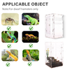 Clear Acrylic Reptile Enclosure with Stackable for Geckos And Lizards
