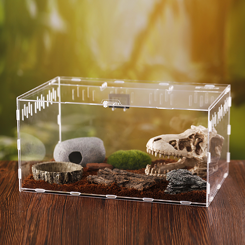High transparent detachable acrylic reptile feeding box