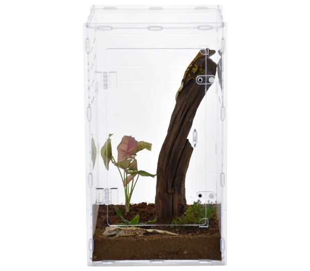 Acrylic breeding reptile enclosure
